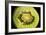 Kiwi Fruit Cross Section Showing Seeds-null-Framed Photographic Print