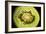 Kiwi Fruit Cross Section Showing Seeds-null-Framed Photographic Print