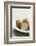 Kiwi Fruits, Whole and Halved-Jo Kirchherr-Framed Photographic Print