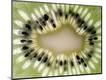 Premium Photographic Print