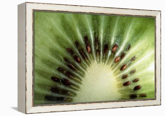 Kiwi Slice-Vaughan Fleming-Framed Premier Image Canvas