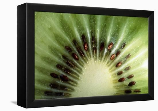 Kiwi Slice-Vaughan Fleming-Framed Premier Image Canvas