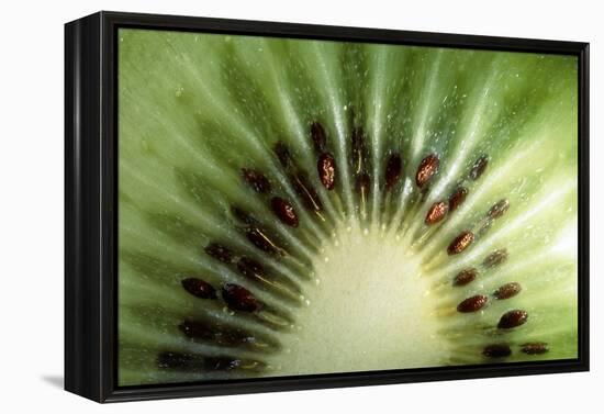 Kiwi Slice-Vaughan Fleming-Framed Premier Image Canvas