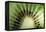 Kiwi Slice-Vaughan Fleming-Framed Premier Image Canvas