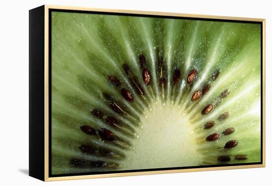 Kiwi Slice-Vaughan Fleming-Framed Premier Image Canvas