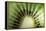 Kiwi Slice-Vaughan Fleming-Framed Premier Image Canvas