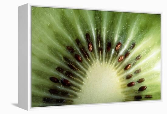 Kiwi Slice-Vaughan Fleming-Framed Premier Image Canvas