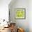 Kiwi Slices-Mark Sykes-Framed Premium Photographic Print displayed on a wall