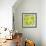 Kiwi Slices-Mark Sykes-Framed Premium Photographic Print displayed on a wall