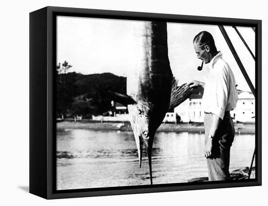 Kiwi Swordfish Catch-null-Framed Premier Image Canvas