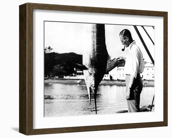 Kiwi Swordfish Catch-null-Framed Photographic Print