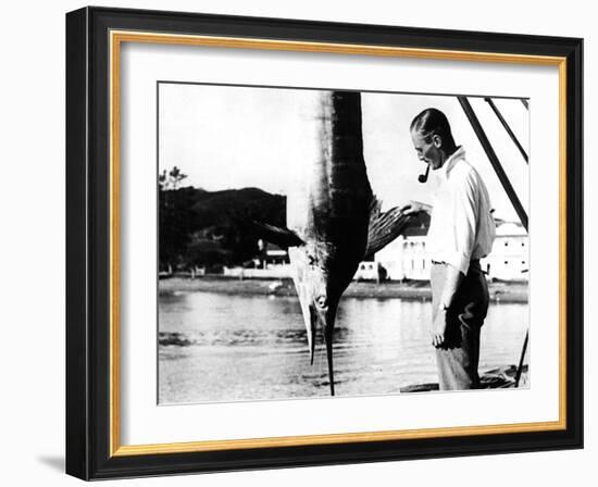 Kiwi Swordfish Catch-null-Framed Photographic Print