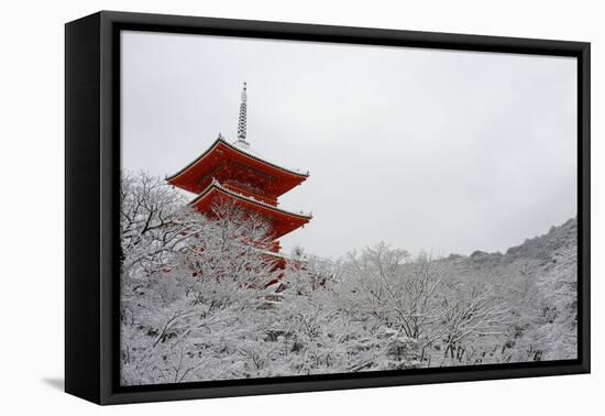 Kiyomizu-dera Temple's pagoda hiding behind snow-covered trees, UNESCO World Heritage Site, Kyoto,-Damien Douxchamps-Framed Premier Image Canvas