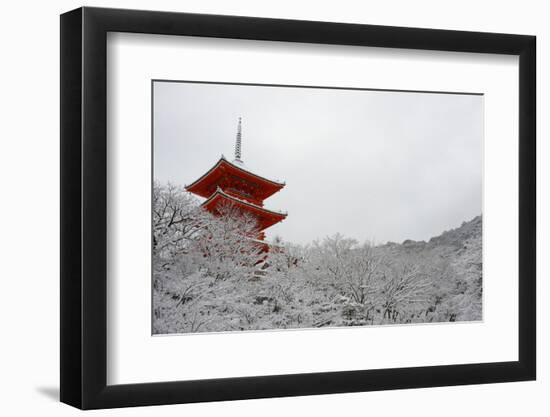 Kiyomizu-dera Temple's pagoda hiding behind snow-covered trees, UNESCO World Heritage Site, Kyoto,-Damien Douxchamps-Framed Photographic Print