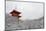 Kiyomizu-dera Temple's pagoda hiding behind snow-covered trees, UNESCO World Heritage Site, Kyoto,-Damien Douxchamps-Mounted Photographic Print