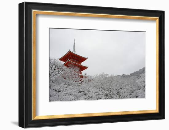 Kiyomizu-dera Temple's pagoda hiding behind snow-covered trees, UNESCO World Heritage Site, Kyoto,-Damien Douxchamps-Framed Photographic Print