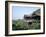 Kiyomizu Temple (Kiyomizu-Dera), Kyoto, Honshu, Japan-null-Framed Photographic Print