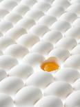 White Eggs, Lying on Their Sides, One Opened-Klaus Arras-Photographic Print