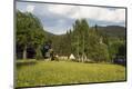 Photographic Print
