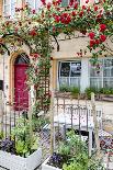 Facade, Iphofen, Bavaria, Germany, Europe-Klaus Neuner-Photographic Print