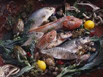 Still Life with Fish, Shellfish and Vegetables-Klaus P^ Exner-Framed Photographic Print