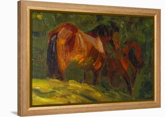 Kleine Pferdestudie I, 1905-Franz Marc-Framed Premier Image Canvas