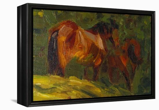 Kleine Pferdestudie I, 1905-Franz Marc-Framed Premier Image Canvas