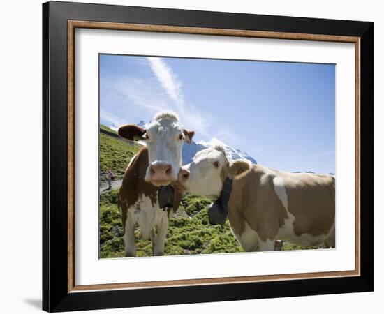 Kleine Scheidegg, Bernese Oberland, Berne Canton, Switzerland, Europe-Angelo Cavalli-Framed Photographic Print