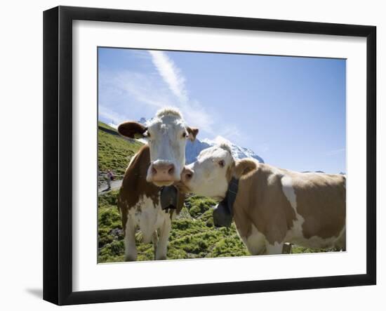 Kleine Scheidegg, Bernese Oberland, Berne Canton, Switzerland, Europe-Angelo Cavalli-Framed Photographic Print