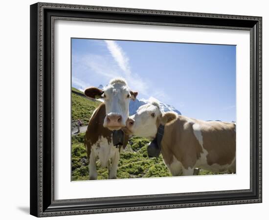 Kleine Scheidegg, Bernese Oberland, Berne Canton, Switzerland, Europe-Angelo Cavalli-Framed Photographic Print