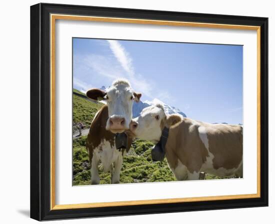 Kleine Scheidegg, Bernese Oberland, Berne Canton, Switzerland, Europe-Angelo Cavalli-Framed Photographic Print