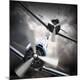Premium Photographic Print