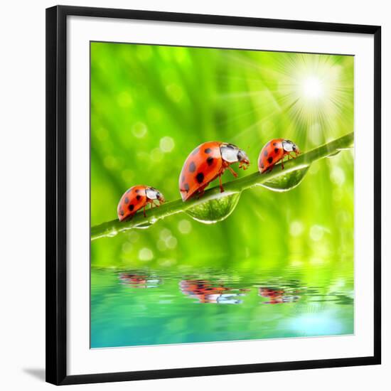 Photographic Print, , large