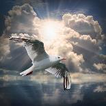 The Seagull Flying Over A Sea Against A Dramatic Sky. Background From Nature-Kletr-Photographic Print