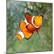 Premium Photographic Print