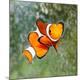 Premium Photographic Print
