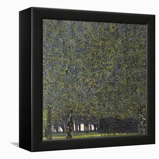 Klimt, the Park-null-Framed Premier Image Canvas