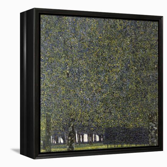 Klimt, the Park-null-Framed Premier Image Canvas