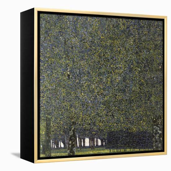 Klimt, the Park-null-Framed Premier Image Canvas