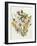 Knapweed, Ox-Eye Daisy and Toad Flax-Ursula Hodgson-Framed Giclee Print