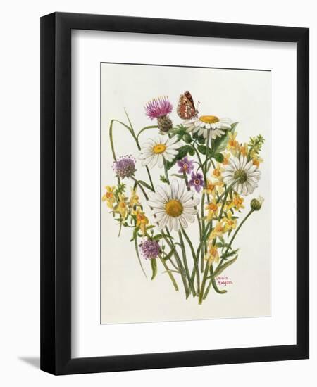 Knapweed, Ox-Eye Daisy and Toad Flax-Ursula Hodgson-Framed Giclee Print