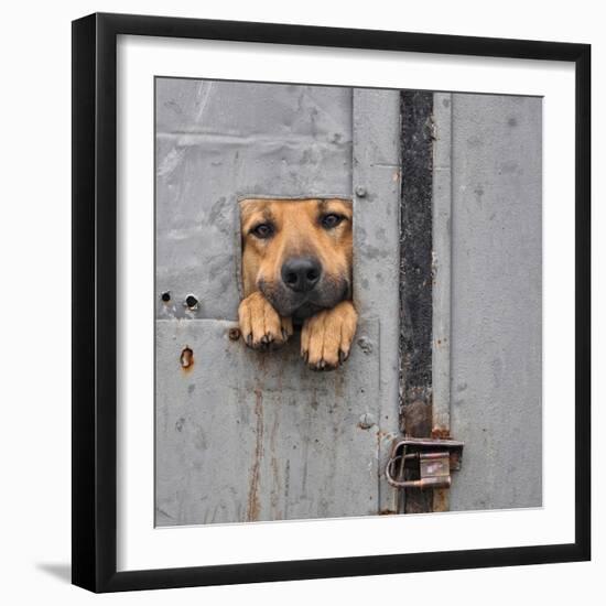 Photographic Print, , large