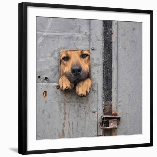 Photographic Print, , large
