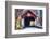 Knechts Covered Bridge Fall Scenic, Bucks County, Pennsylvania, USA-George Oze-Framed Photographic Print