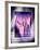Knee Joint, Side View, MRI Scan-Miriam Maslo-Framed Photographic Print