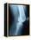 Knee Joint X-Ray-Robert Llewellyn-Framed Premier Image Canvas