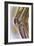 Knee Joint, X-ray-null-Framed Photographic Print