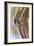 Knee Joint, X-ray-null-Framed Photographic Print