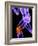 Knee Pain, Conceptual Artwork-SCIEPRO-Framed Photographic Print