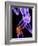 Knee Pain, Conceptual Artwork-SCIEPRO-Framed Photographic Print